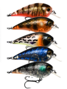 Westin Limited Edition