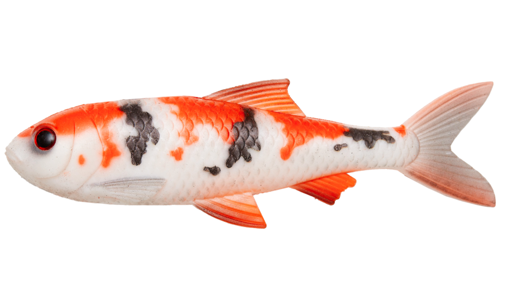 Pulzbait Roach Kit 15cm-Koi Carp