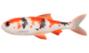 Pulzbait Roach Kit 15cm-Koi Carp