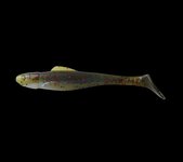 Relax Lures Ohio 4 Motoroil Cream Red Glitter (10cm)