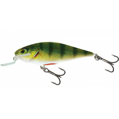 Salmo Floating Executor 12 SR Real Perch