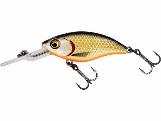 Westin Buzzbite crankbait Official Roach goudvoorn