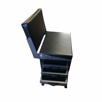 Elite zitmand met rugleuning voor de jeugdige visser goudvoorn