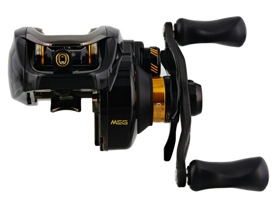 Westin Reel W6 SSG 101 goudvoorn