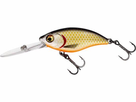 Westin Fishing Buzzbite Crankbait floating Official Roach (6.5cm) goudvoorn
