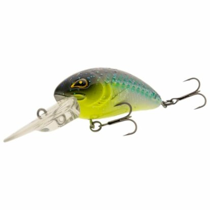 Rozemeijer Trouble Maker Yellow Cheek haakmaat 10 (4.5cm)