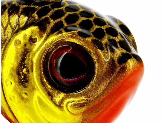 Westin Dropbite Tungsten Spin Tail Jig Gold Rush 9gr (1.8cm)