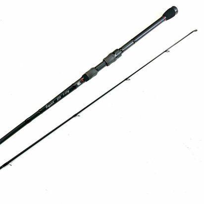 Rozemeijer Hengel Exquisit 2,20m 7-25 gr