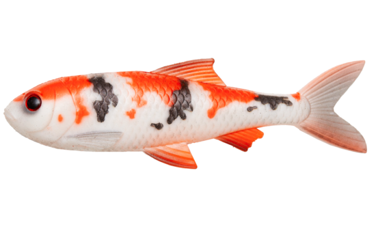 Pulzbait Roach Kit 15cm-Koi Carp