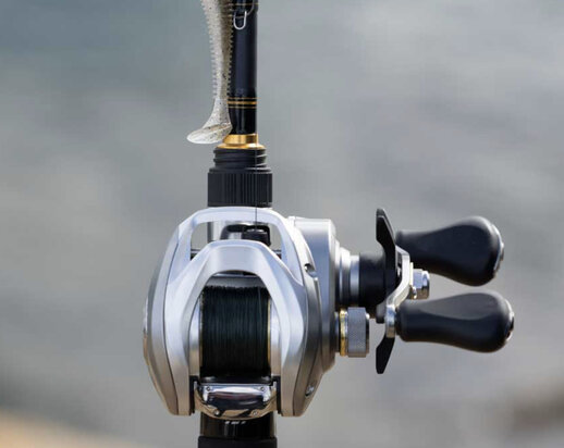 Daiwa 25 AIRD Baitcaster Reel 80LH