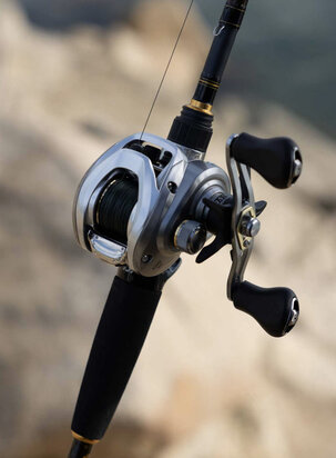 Daiwa 25 AIRD Baitcaster Reel 80LH