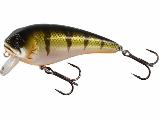Westin Fishing Fatbite Crankbait Floating Bling Perch (5.5cm)