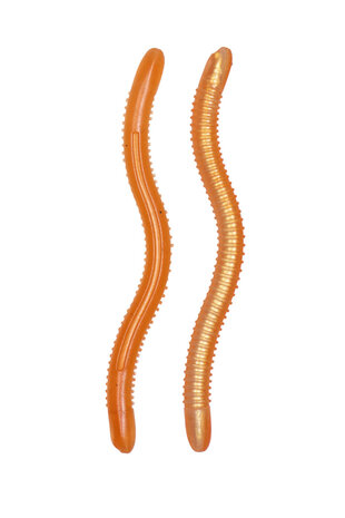 Toppies Wormius Moccochino (9.5cm)