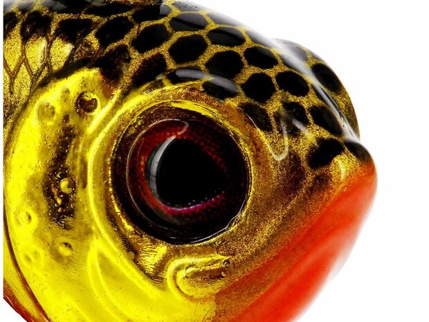 Westin Dropbite Tungsten Spin Tail Jig Gold Rush 13gr (2cm)