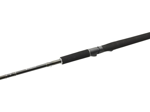 Westin W2 Powercast Travel (248cm 20-80gr)