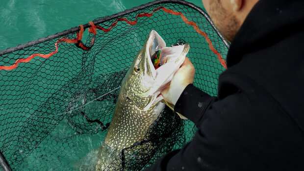 Rapala Sharpshooter UV Orange 41gr