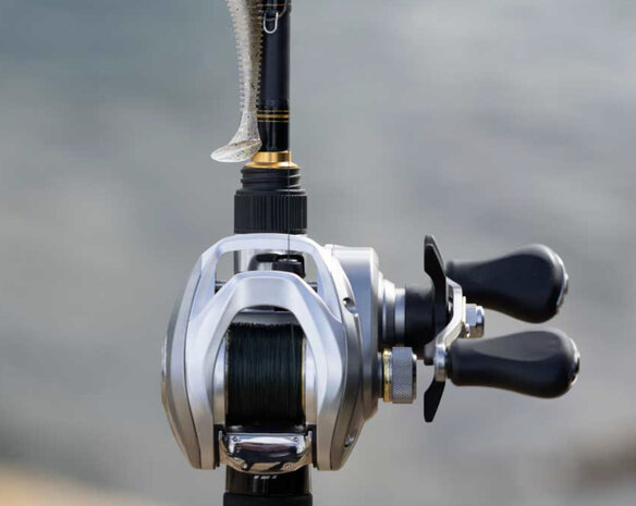 Daiwa 25 AIRD Baitcaster Reel 80LH