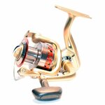 Elite / Yolo DFB 2000