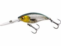Westin Fishing Buzzbite Crankbait floating 3D Headlight (6.5cm)