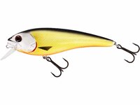 Westin Fishing Rawbite Crankbait low floating Official Roach (15cm)
