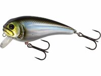 Westin Fishing Fatbite Crankbait Floating Blueback Herring (8cm)