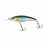 Daiwa Steez Shad Special Shiner 60SP-SR 1.0M (6cm)