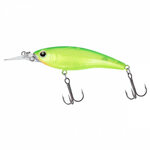 Daiwa Steez Shad Akabane Lime 60SP-SR 1.0M (6cm)