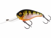 Westin Fishing Megabite DR Crankbait floating Bling Perch (6cm)