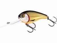 Westin Fishing Megabite DR Crankbait floating Official Roach (6cm)