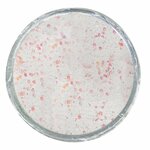 Berkley Powerbait Foreldeeg Troutbait Glow in the Dark Glitter white 50gr